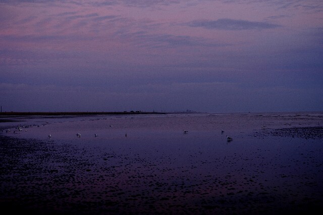 min 2007 11 25 camber plage 070